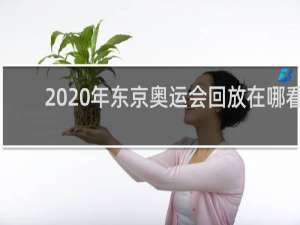 2020年东京奥运会回放在哪看