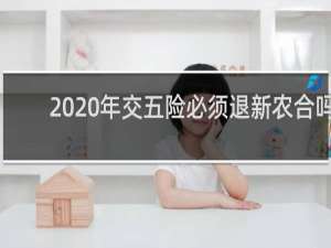 2020年交五险必须退新农合吗