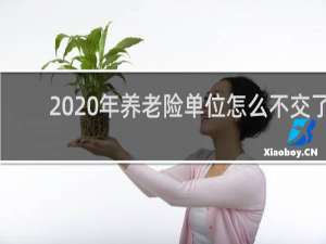 2020年养老险单位怎么不交了