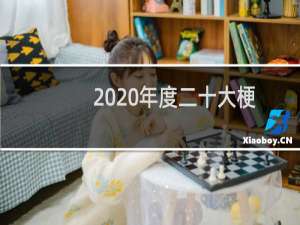 2020年度二十大梗-2020年度二十大梗什么梗-「鲸吼社区」