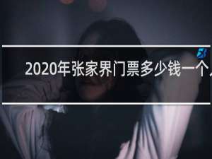 2020年张家界门票多少钱一个人