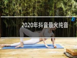 2020年抖音最火纯音乐