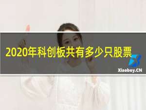 2020年科创板共有多少只股票