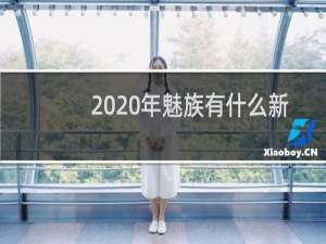 2020年魅族有什么新手机
