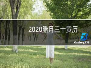 2020腊月三十黄历（是什么节日）