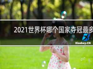 2021世界杯哪个国家夺冠最多