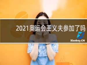 2021奥运会王义夫参加了吗