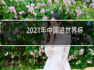 2021年中国进世界杯了吗