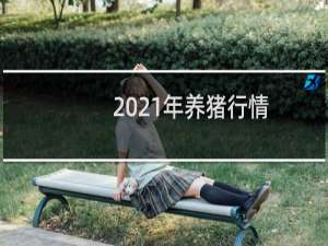 2021年养猪行情