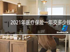 2021年医疗保险一年交多少钱