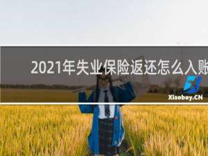 2021年失业保险返还怎么入账