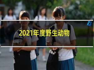 2021年度野生动物摄影师奖的亮点