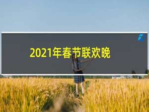 2021年春节联欢晚会的英语怎么写（节目单）