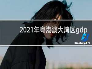 2021年粤港澳大湾区gdp