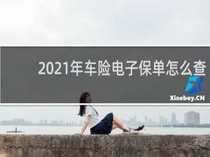 2021年车险电子保单怎么查