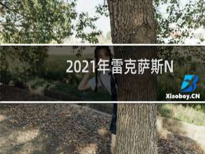 2021年雷克萨斯NX300