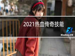 2021热血传奇技能