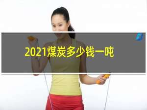 2021煤炭多少钱一吨