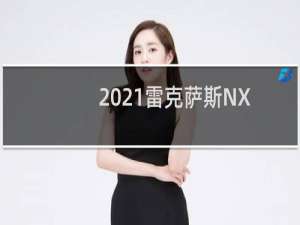 2021雷克萨斯NX300h