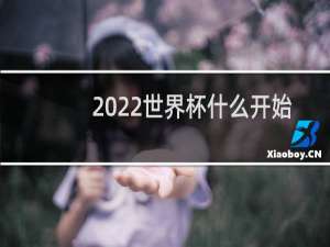 2022世界杯什么开始