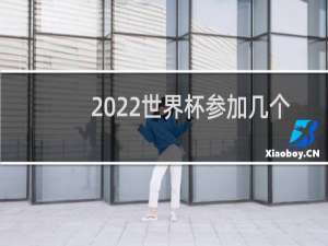 2022世界杯参加几个国家
