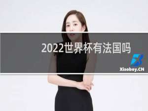 2022世界杯有法国吗