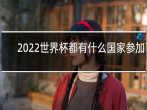 2022世界杯都有什么国家参加了