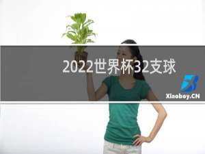 2022世界杯32支球队确定了吗