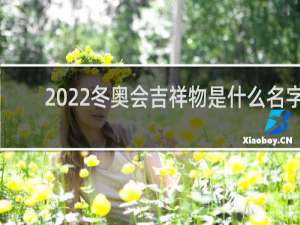 2022冬奥会吉祥物是什么名字