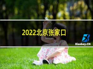 2022北京张家口