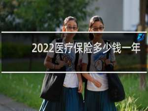 2022医疗保险多少钱一年