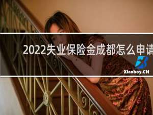 2022失业保险金成都怎么申请