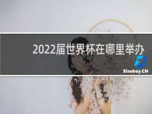 2022届世界杯在哪里举办