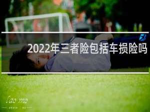 2022年三者险包括车损险吗