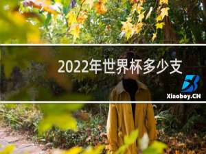 2022年世界杯多少支球队参赛