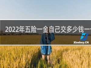 2022年五险一金自己交多少钱一个月