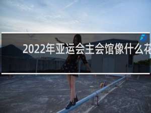 2022年亚运会主会馆像什么花