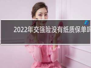 2022年交强险没有纸质保单吗