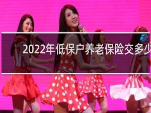2022年低保户养老保险交多少
