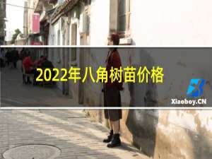 2022年八角树苗价格