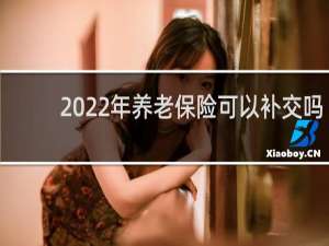 2022年养老保险可以补交吗