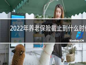 2022年养老保险截止到什么时候