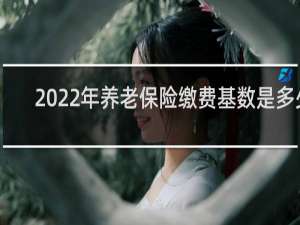 2022年养老保险缴费基数是多少