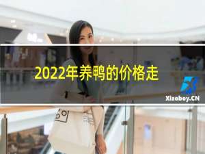 2022年养鸭的价格走势