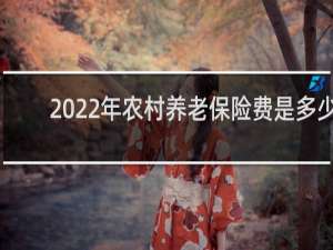 2022年农村养老保险费是多少