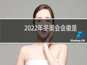 2022年冬奥会会徽是什么样子的