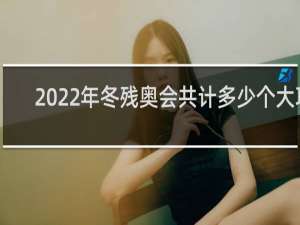 2022年冬残奥会共计多少个大项