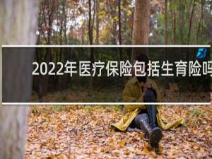 2022年医疗保险包括生育险吗