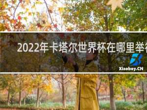 2022年卡塔尔世界杯在哪里举行