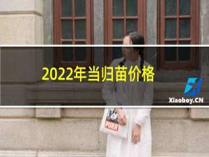 2022年当归苗价格